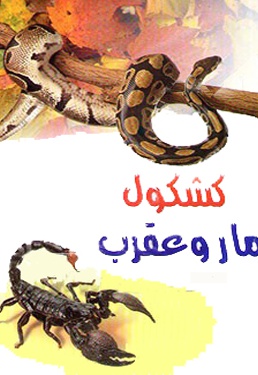 کشکول مار و عقرب